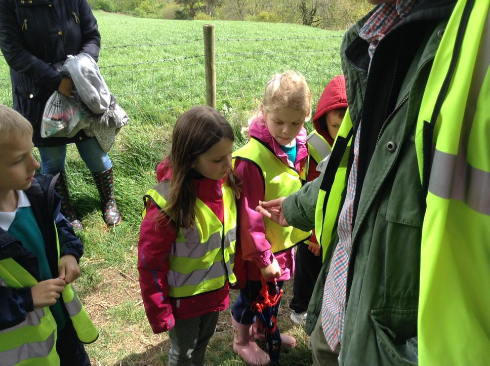 What could it have been?