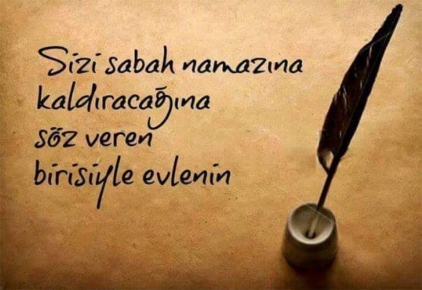 oğuzerbayar (@catteam51) on Twitter photo 