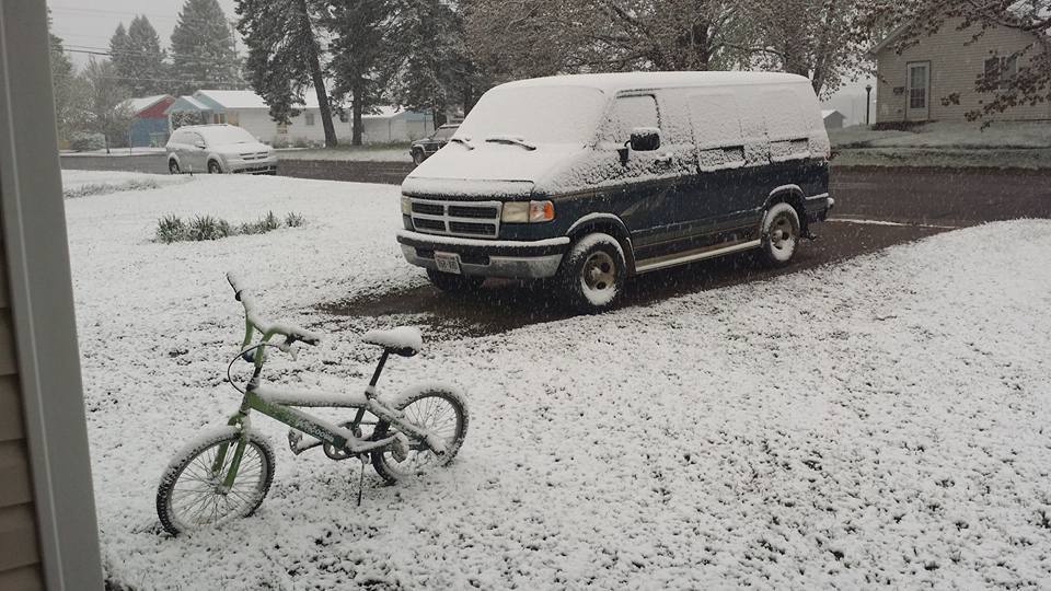 View image on Twitter