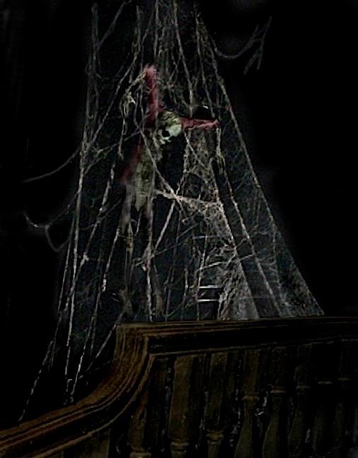 CFYl_u7W0AE3a2-.jpg