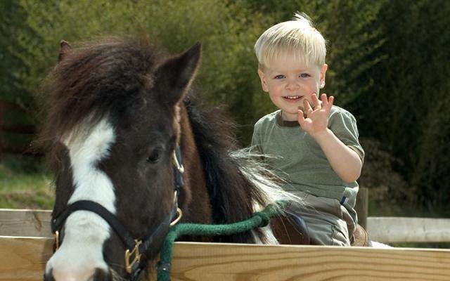 EquineInfoEx's tweet photo. #VAEquiChat  Please let us know any VA events and we will be happy to post them! http://t.co/8Gr76C2g0X
