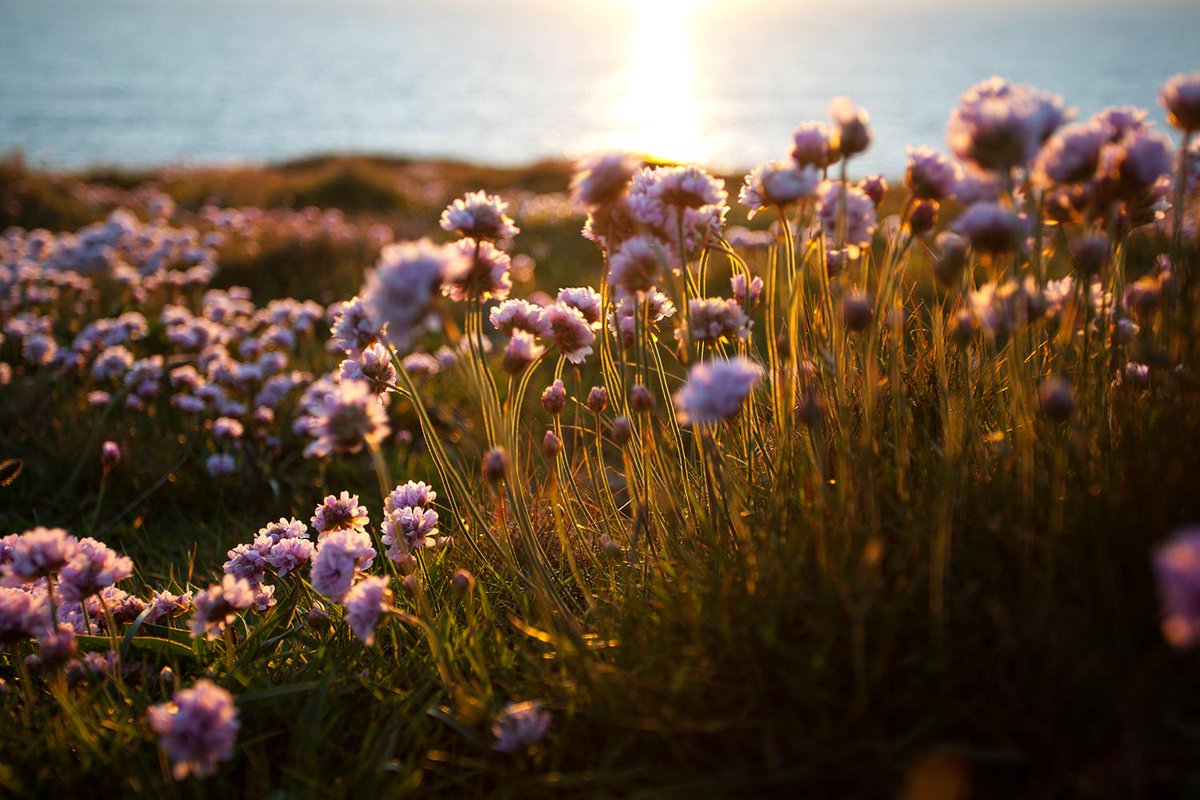 cornishwallart's tweet photo. New Art Work Listed on http://t.co/XKF8cbPn6h #photography #sharingcornwall: http://t.co/qC2i4LIZvA http://t.co/FYBWQV5lFS