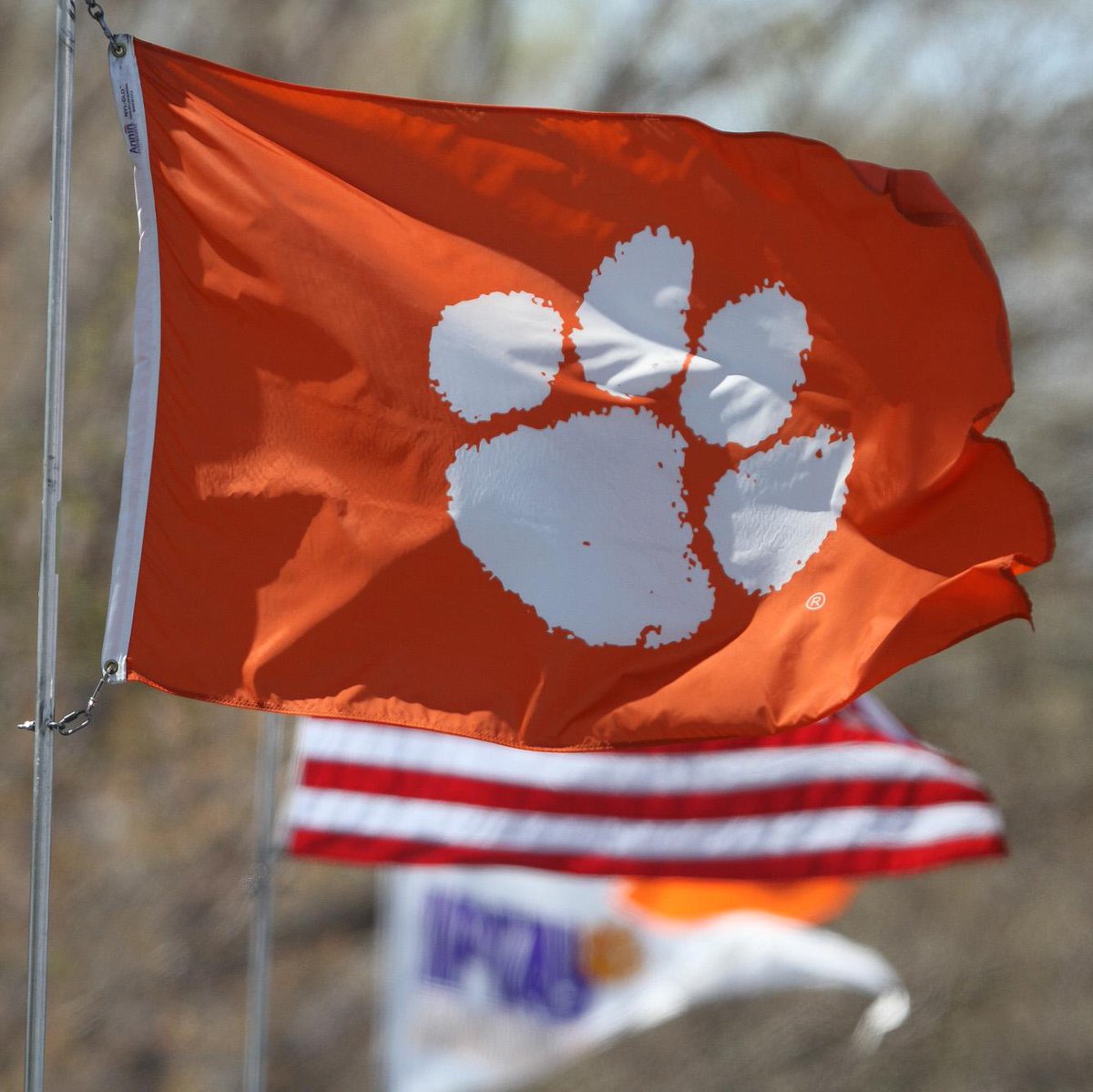 ClemsonMTennis's tweet photo. #PowerInThePaw #Clemson http://t.co/TlXpNLPKhP