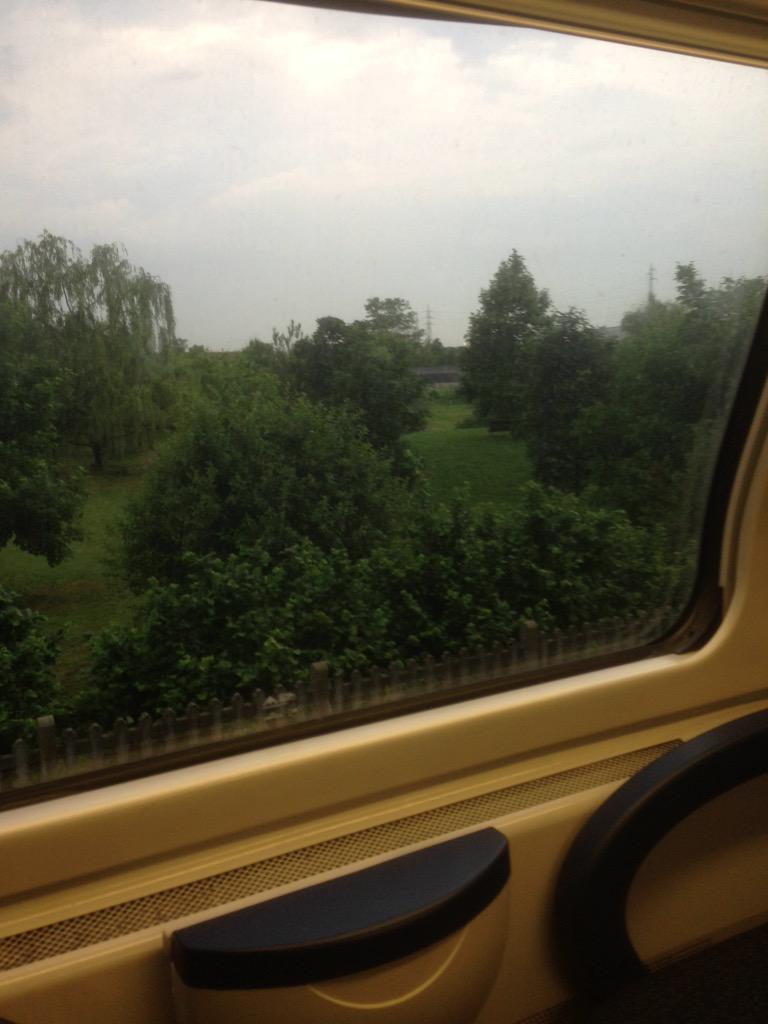 Antonio De Maria tweet media