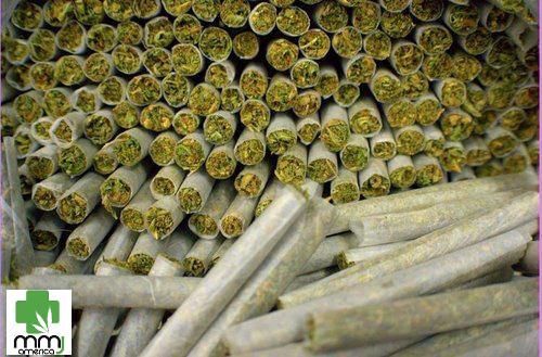 MMJAmerica's tweet photo. #TwoJointTuesday- Med Card holders, buy a joint and get one for 50% off! #joints #specials #weed #mmj #denver http://t.co/80ogZQFpr6