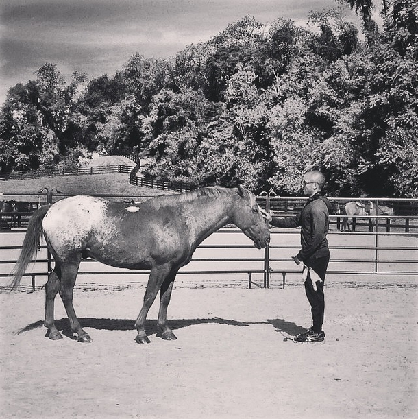 SalamanderVA's tweet photo. Q10: What is the most valuable lesson horses have taught you? #VAEquiChat http://t.co/8qfUgeNyfB