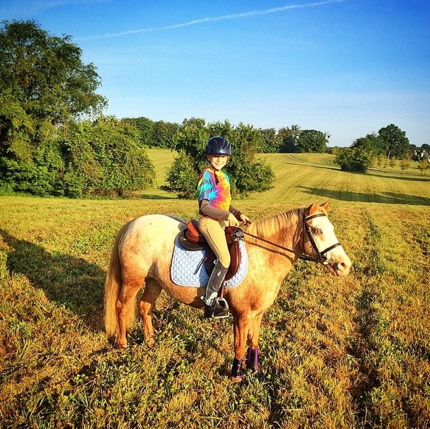 SalamanderVA's tweet photo. Q9: What advice would you give to a novice interested in becoming an equestrian? #VAEquiChat http://t.co/wj1df8X790