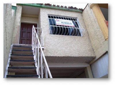 nikodevo's tweet image. 