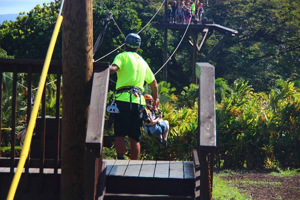 Activity Bus tweet media