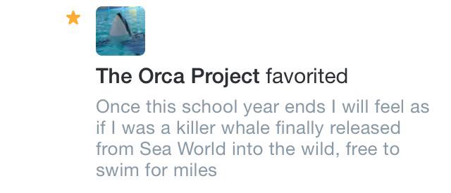 refyousuck99's tweet image. That's when you know you've made it. #orcaproject #splashzone