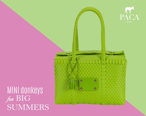 MonkeyAds2's tweet photo. #MINIdonkeysforbigSUMMERS #PACA 
ONLINE
http://t.co/V8QSL2mCKP http://t.co/bY1xEbBF2f