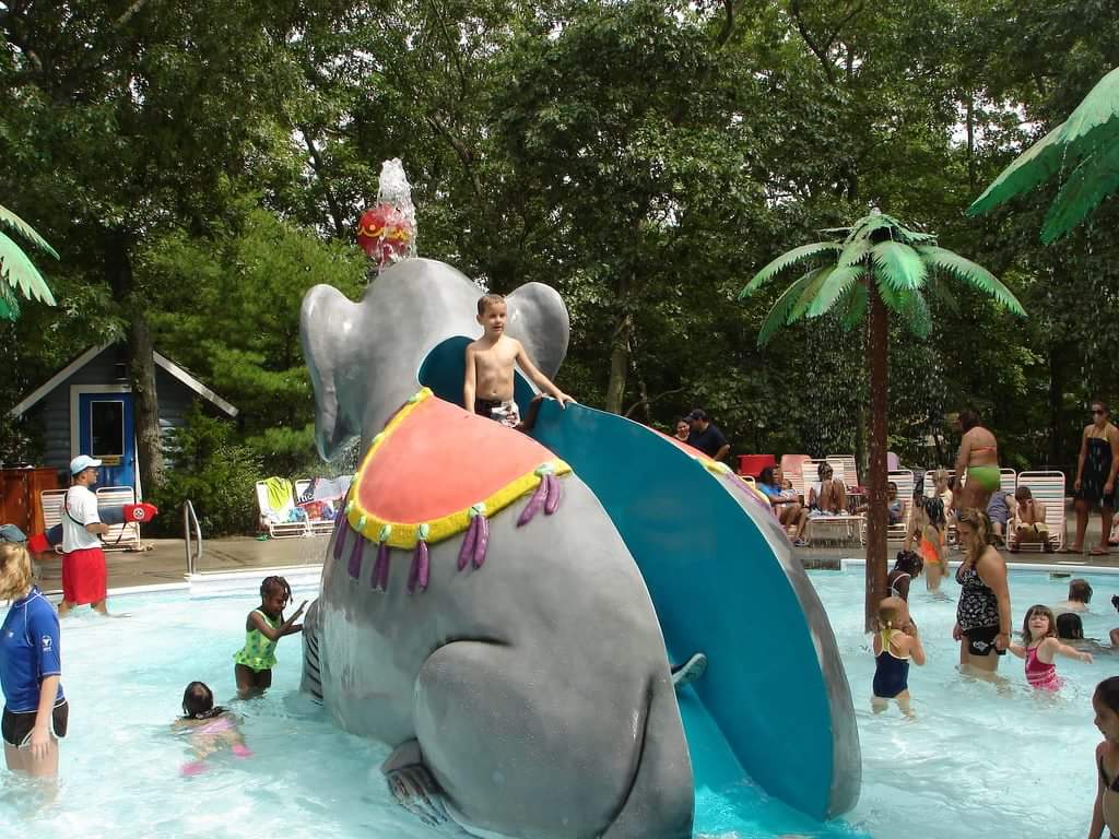 Activity Bus tweet media