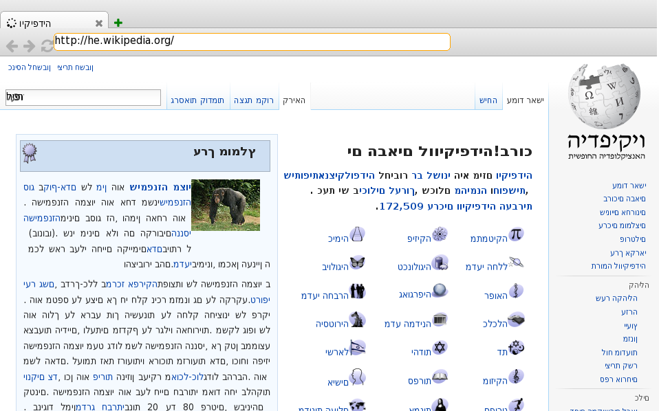 Hebrew Wikipedia in servo-shell