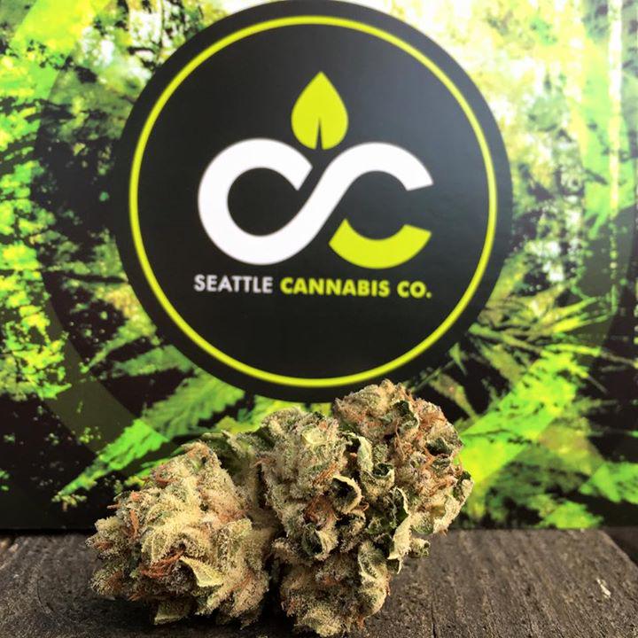 SeattleCannaCo's tweet photo. Chem Skunk 91 from Green Rush now available @SeattleCannaCo 2g for $27 #CatchTheRush #MMJ #recreational #sodope http://t.co/bArDutTsFa