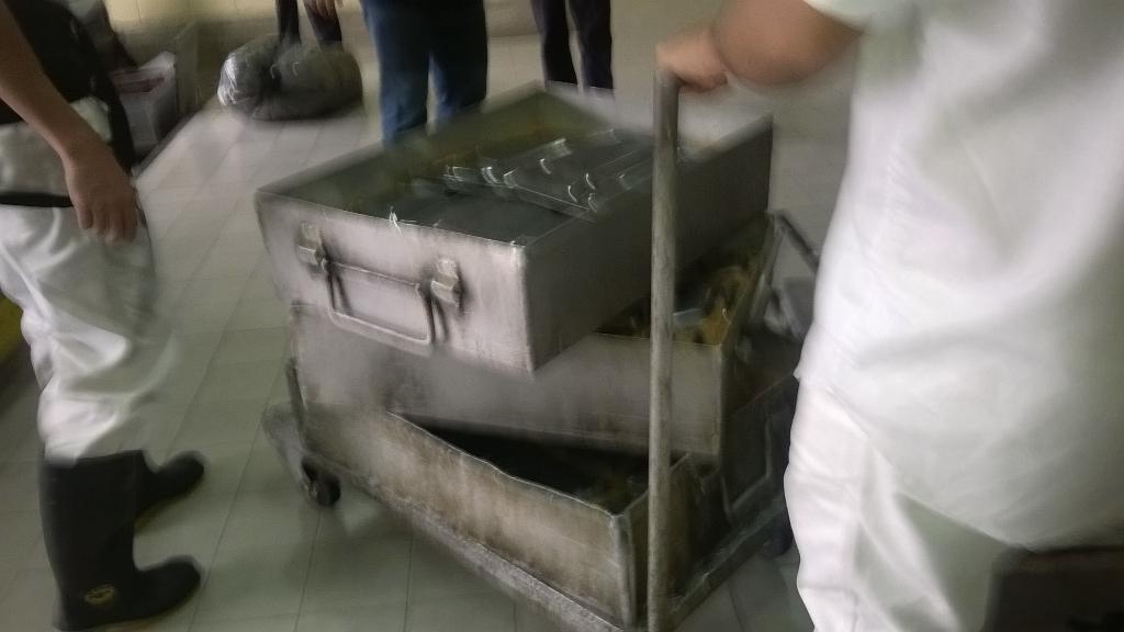 comisioncomeULA's tweet photo. Hoy estuvimos garantizando que los servicios a los estudiantes se subieran desde ciclo básico hasta hechicera http://t.co/akDzxjNlAH