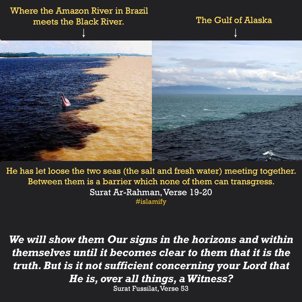 Alhamdhulillaah's tweet photo. https://t.co/2JmQCgVswl