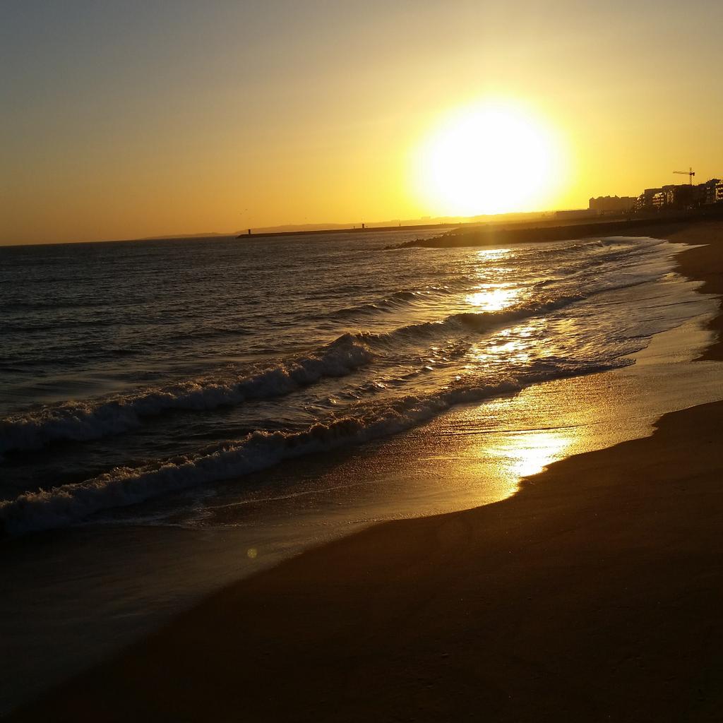 Saker C87 tweet media