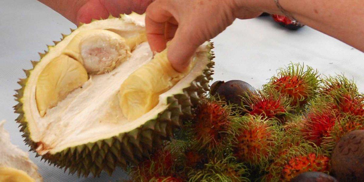 getnift's tweet image. The Most Talked-About Food In Every State buff.ly/1IJnC4b