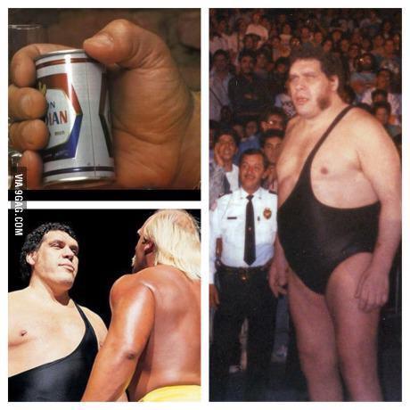 Happy Birthday to the late, great Andre The Giant 