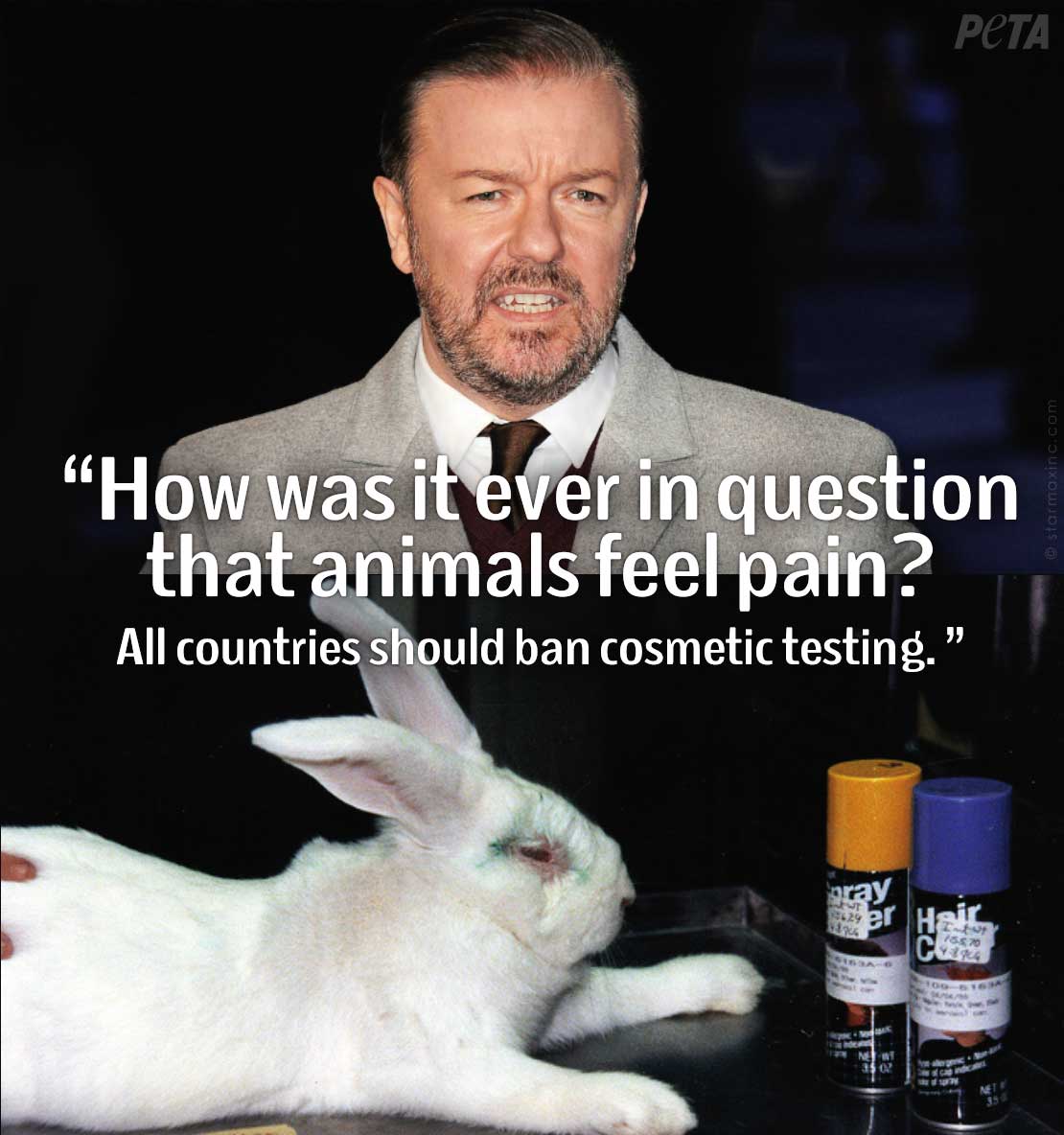 peta's tweet photo. EXACTLY.

@rickygervais always says it BEST! 

RT &amp; SIGN if you agree: http://t.co/c6ug2GpK3K #StopAnimalTests http://t.co/u9da2xjGu0