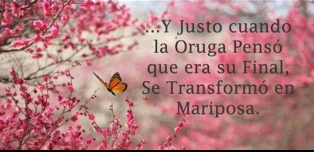 et_rodri tweet picture