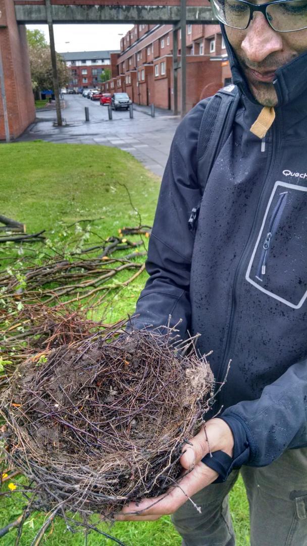 owlproject's tweet photo. Last week canal side a fox, this nest and two deer..wonder what well see this week @GSSGLASGOW #creativecargo http://t.co/m0Uhh5XiMU