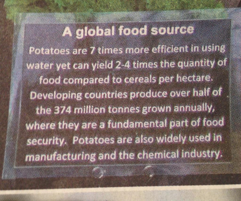 contactsaraegan's tweet photo. #potatoes as a global food source #ChelseaFlowerShow @guardian #irishvalues #YesEquality http://t.co/Rn2I4hnM5m