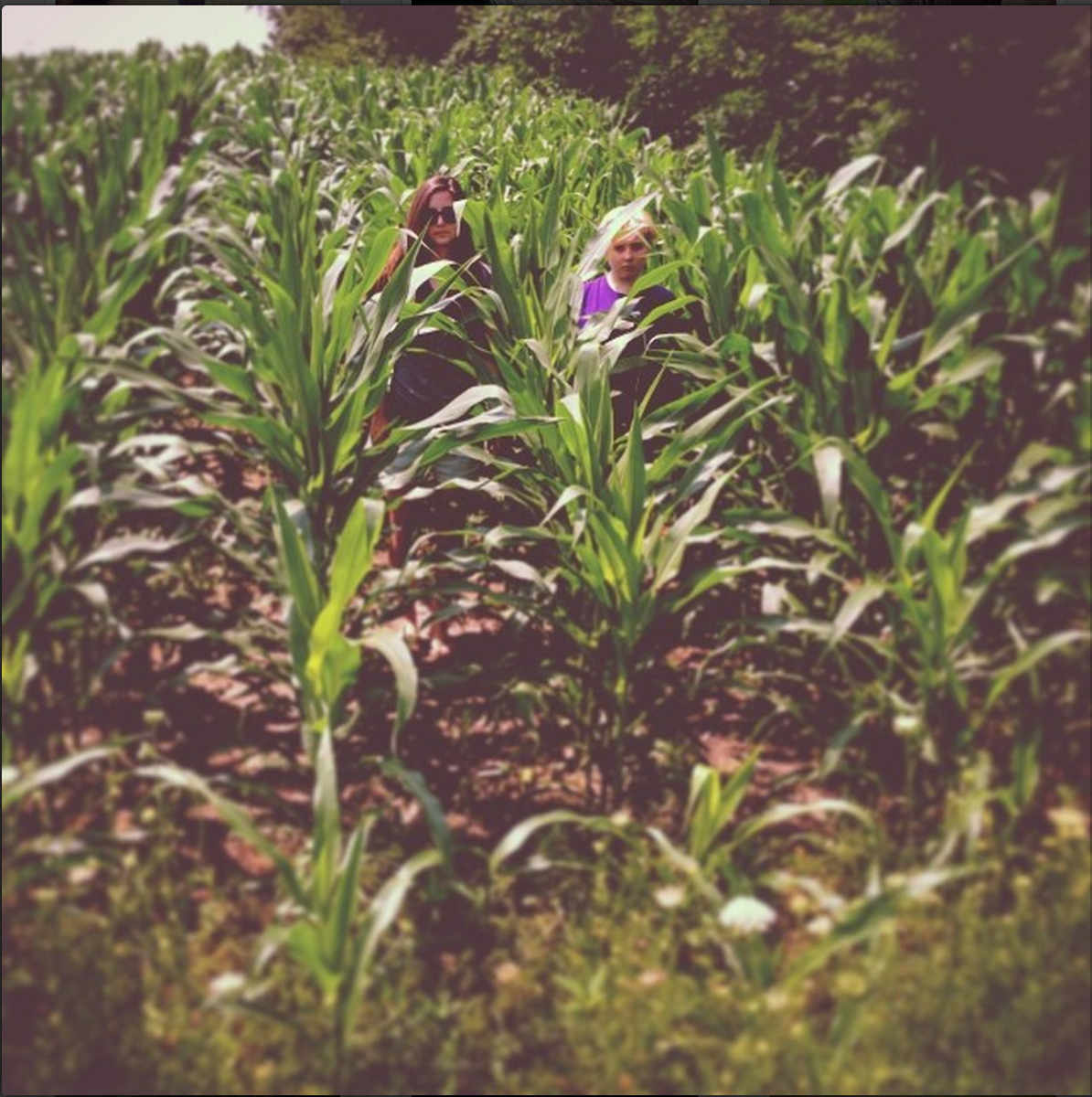 OneJulianPrice's tweet photo. "They want you too Malachai" #ChildrenOfTheCorn #RVCrazy http://t.co/Cefubv2vjA