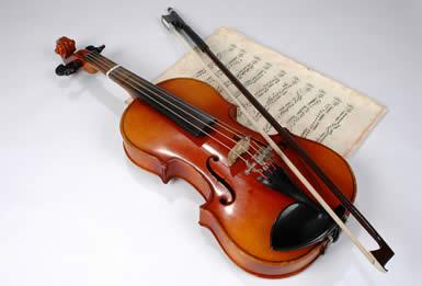 BrainUnhinged's tweet image. The modern violin contains over 70 separate pieces of wood.