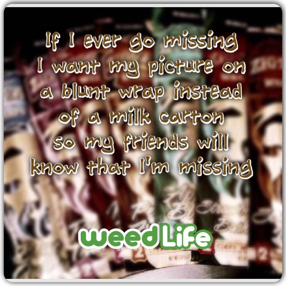 WeedLifeNetwork's tweet photo. Start your WeedLife™ today! http://t.co/T1ZPUfTWQK #420socialnetwork #weedlife #weedlifenetwork #safe #secure http://t.co/8ItJnnBtMF