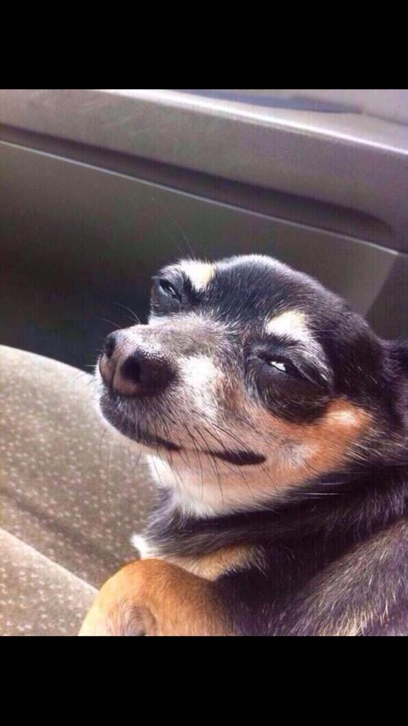 DamboiseLoni's tweet photo. @lanewmiller12 @AnimaIWorld I feel ya http://t.co/qdaeyop5Qh