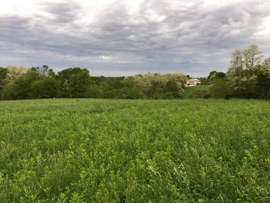 LandTheDream's tweet photo. Sneak peek of a HOT new 30ac listing in Knox Co IL w GIANT #whitetails &amp; #greatincome! #huntingproperty @landcofarms http://t.co/D3Q2UVISFD