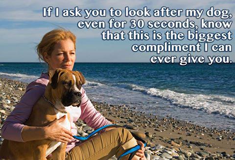MedPetAlert's tweet photo. #medpetalert #dogs #DogLover #cats #ilovedogs #animals #RescueDog #puppies @CampCocker @deafdogsrock @ifldogs http://t.co/mRBMqPIZBf