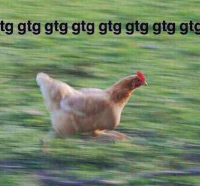 when a fuck boy texts u http://t.co/bEr36H28jv