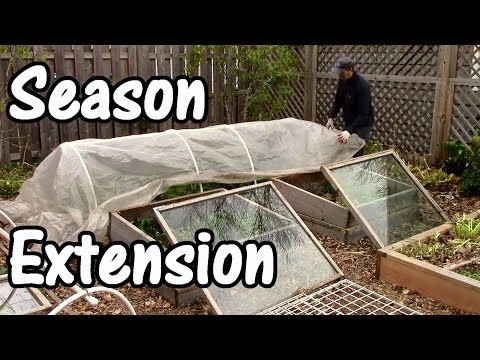 Season Extension &amp; Exciting News for Next Winter! vid.staged.com/Glwp #rawfood #health