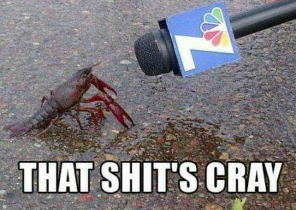 rachelwombat's tweet photo. haha :D http://t.co/Z8t0OwzdQs