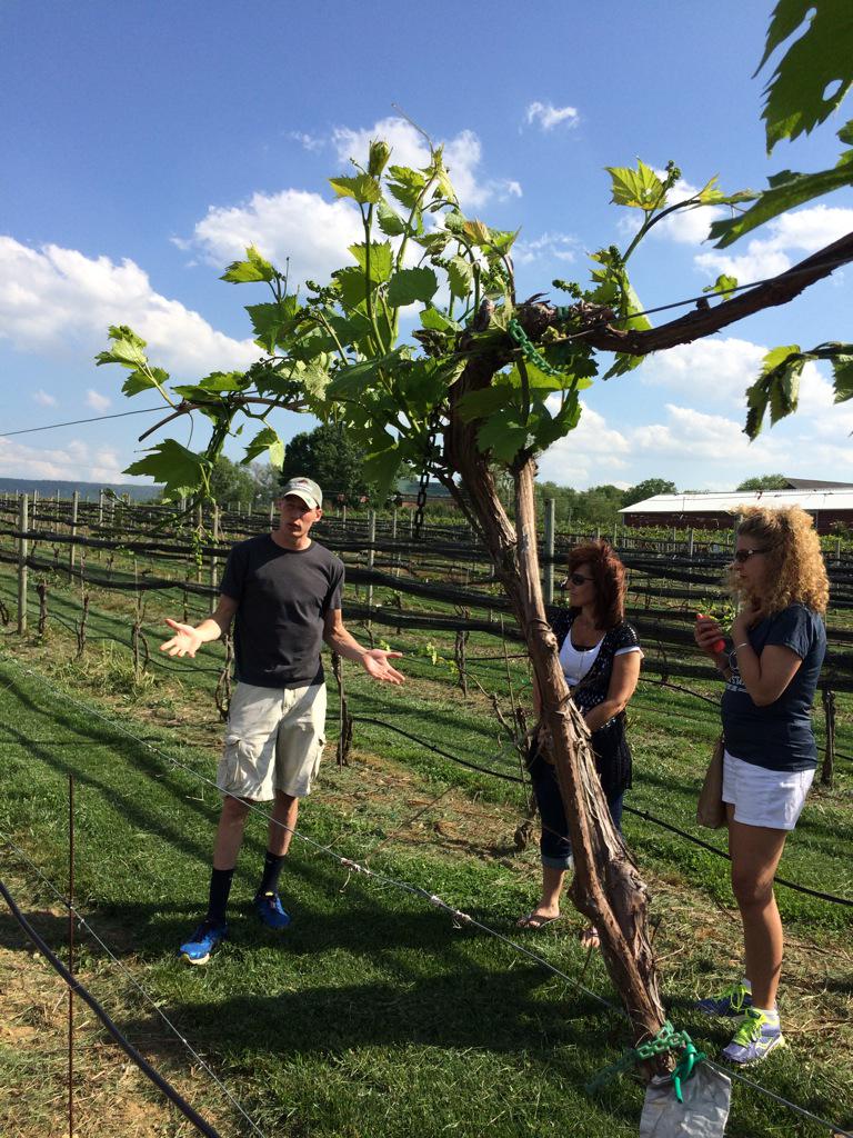 #pennaceinfo great time at happy valley winery! Learned so much!