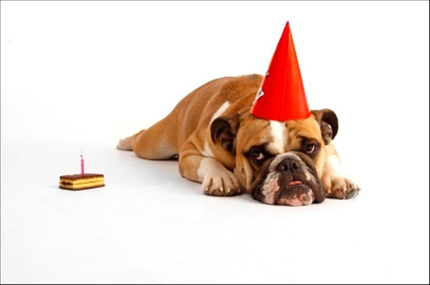 bad2thebrutus's tweet photo. @bob__MARLEEy look who showed up to the party.. #me 🅱🐾 http://t.co/NpP5uKLIWe
