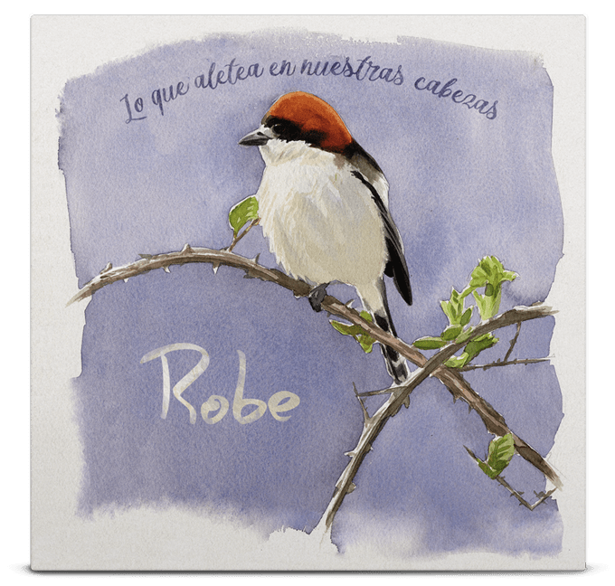 La noticia del día sin duda fue:
robe.es