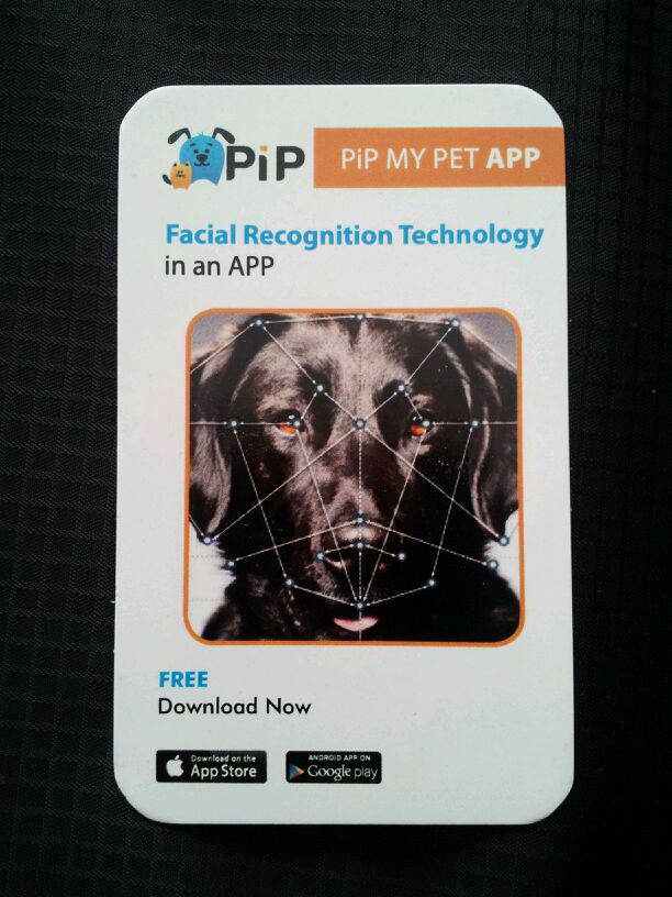 petrecognition's tweet photo. Worried about losing your cat or dog? Keep them on the radar with #FreeApp PIP MY PET #lostpets http://t.co/jyrAYnpRrY