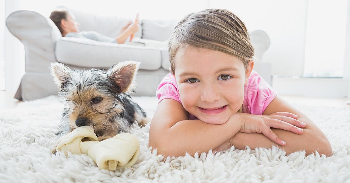 pcomus's tweet image. Book #CarpetCleaning Services Easily with Zerorez of #SanDiego buff.ly/1difxqk