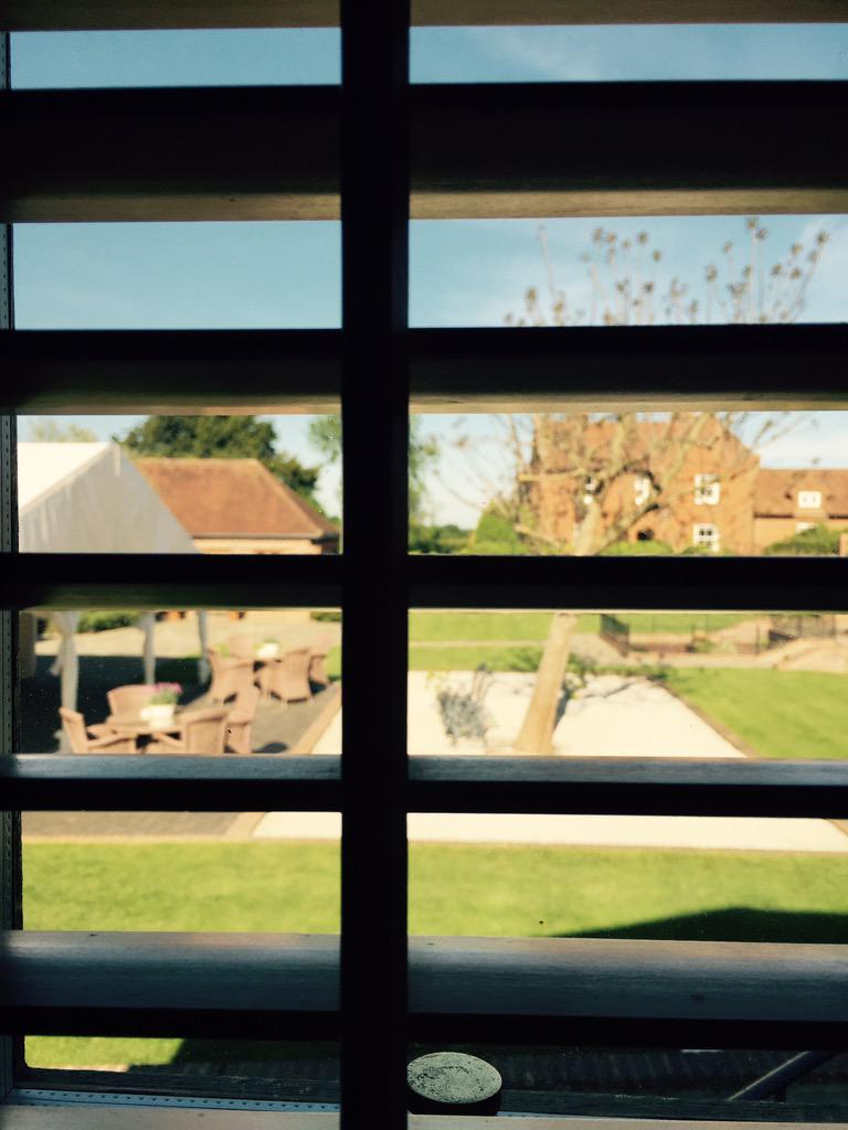 Square-Strawberry tweet media