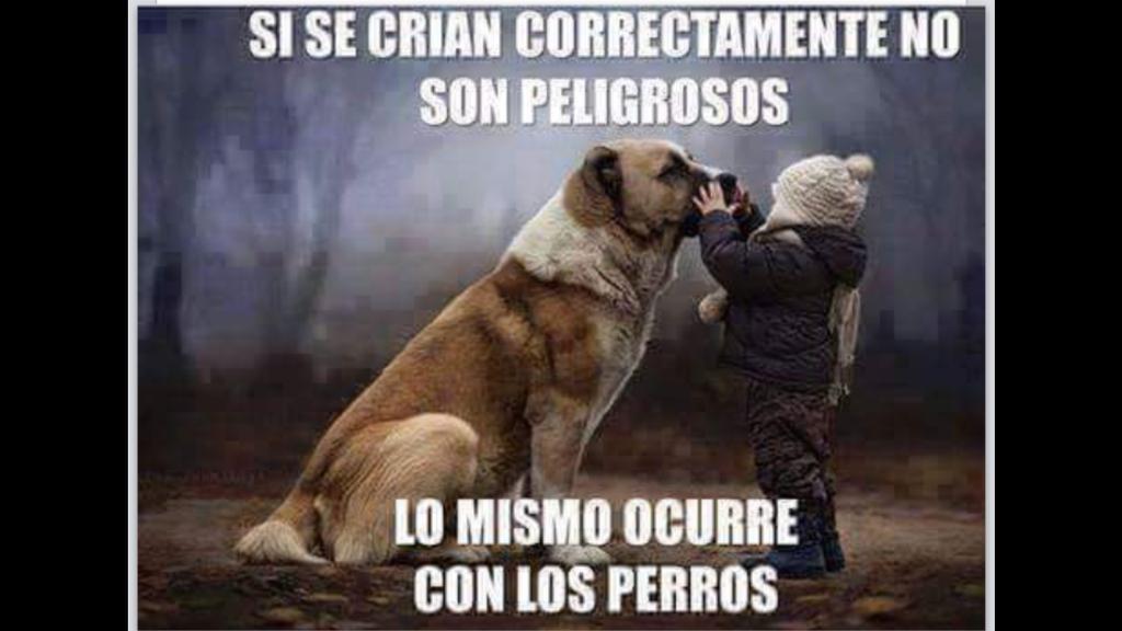 Gambiniko's tweet photo. Lo misma pasa con los animales... http://t.co/mXj8BD2GE5