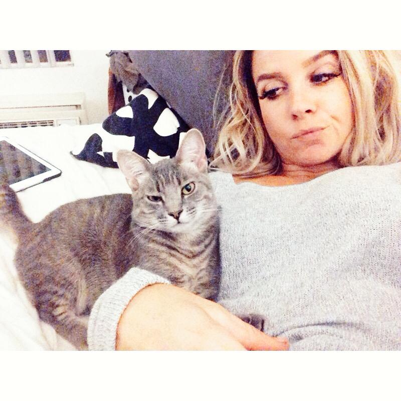ashLaurice's tweet photo. Basically sums up our relationship 😾😒 http://t.co/gmdz5rxuY2