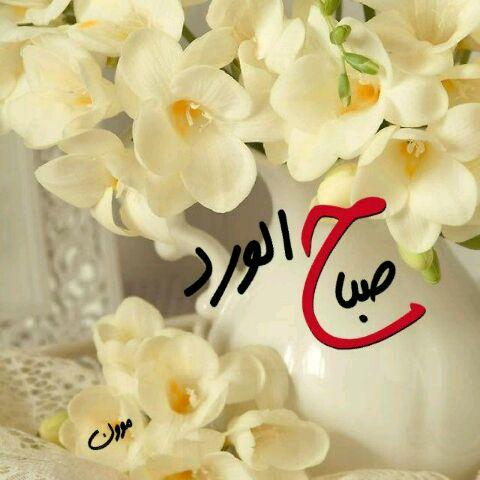 com70066351's tweet photo. @eyes_light_123 صباحكم اجمل 🌹🌷 http://t.co/meITSoxBIb