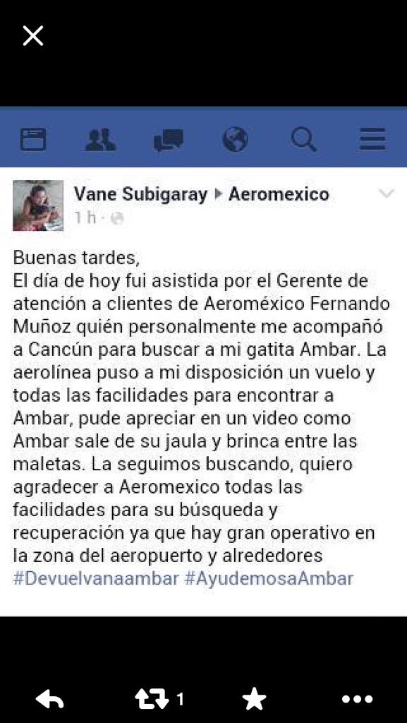 Litzia's tweet photo. Los actualizo con el caso #DevuelvanAAmbar porque no se trata nada más de quejarse de lo malo. @AeroMexico http://t.co/Re6F7wG20H