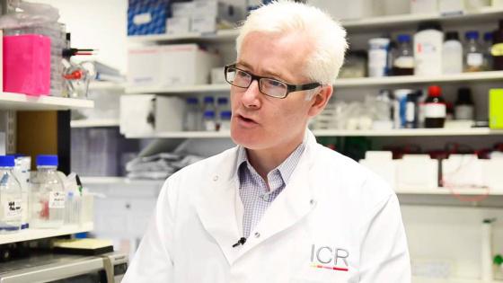 el_pais's tweet photo. Un virus modificado para matar el cáncer se muestra prometedor http://t.co/otAbLY4xic En @materia_ciencia http://t.co/4rxTE1JYZ5