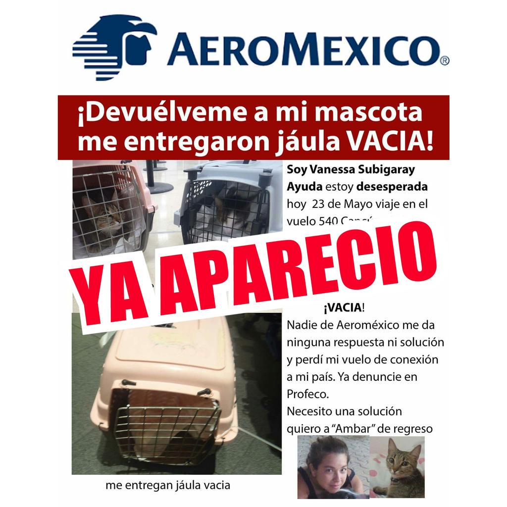 AccionAnimalRM's tweet photo. Aparecio #DevuelvanAAmbar GRACIAS @AeroMexico @AccionAnimalRM @SoyJonDelgado @AnimaLoversMX @YoAmoPlaya http://t.co/AcRHJA0JzO