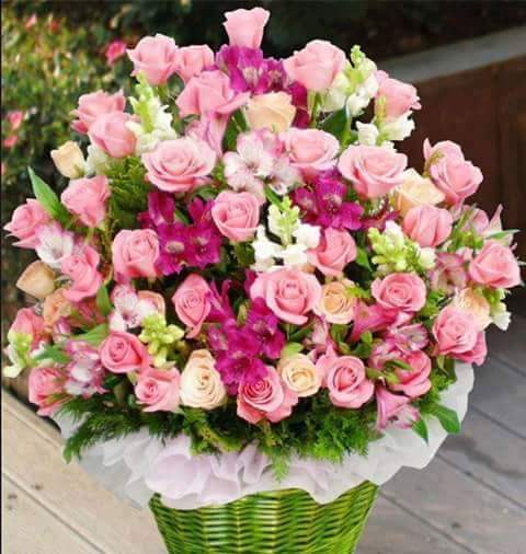  Wishing you a very Happy Birthday Sir...Praying for your Good health n Long life...Stay Blessed !! 