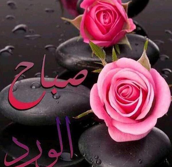 com70066351's tweet photo. @ramm78412967 http://t.co/vmNiJcTLY0